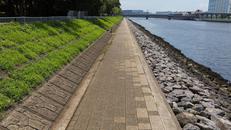 京浜運河緑道公園 運河沿い