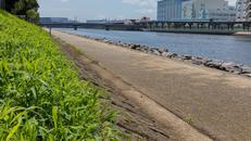 京浜運河緑道公園 運河沿い