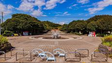 みなとが丘ふ頭公園
