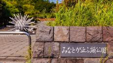 みなとが丘ふ頭公園