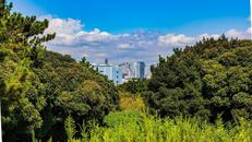 みなとが丘ふ頭公園