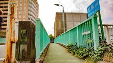 要津橋