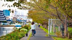 勝島運河東岸南部