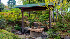 池田山公園