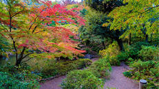 池田山公園