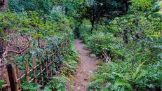 池田山公園