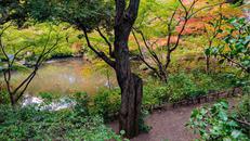 池田山公園