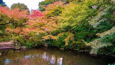 池田山公園