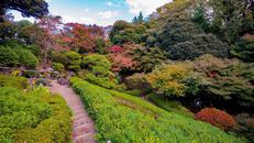 池田山公園