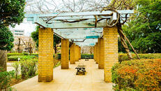 大井公園