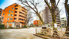 聖蹟公園