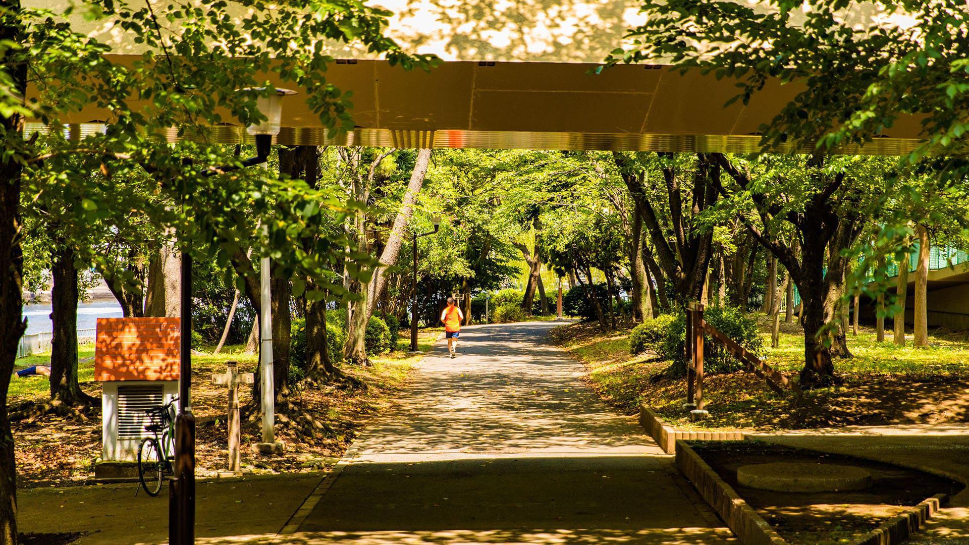 京浜運河緑道公園 森林道