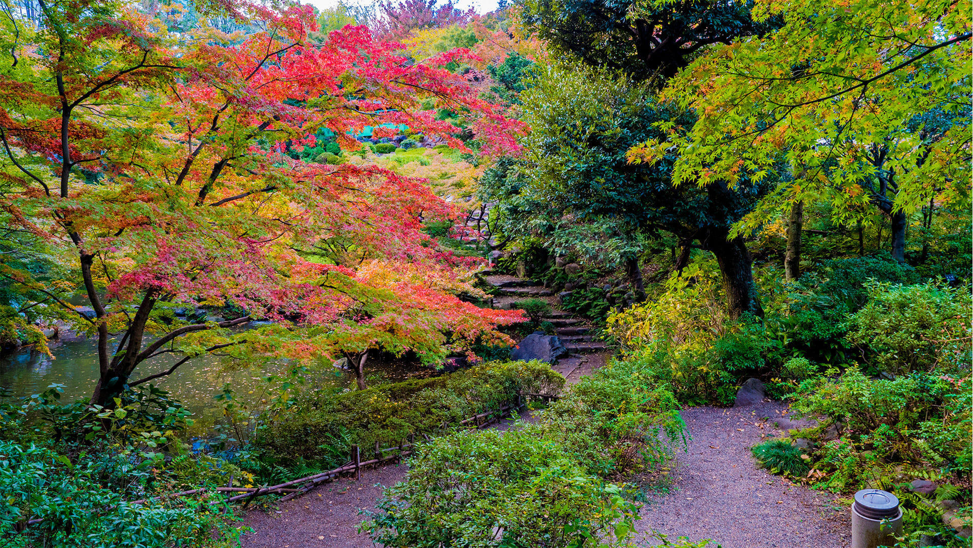池田山公園