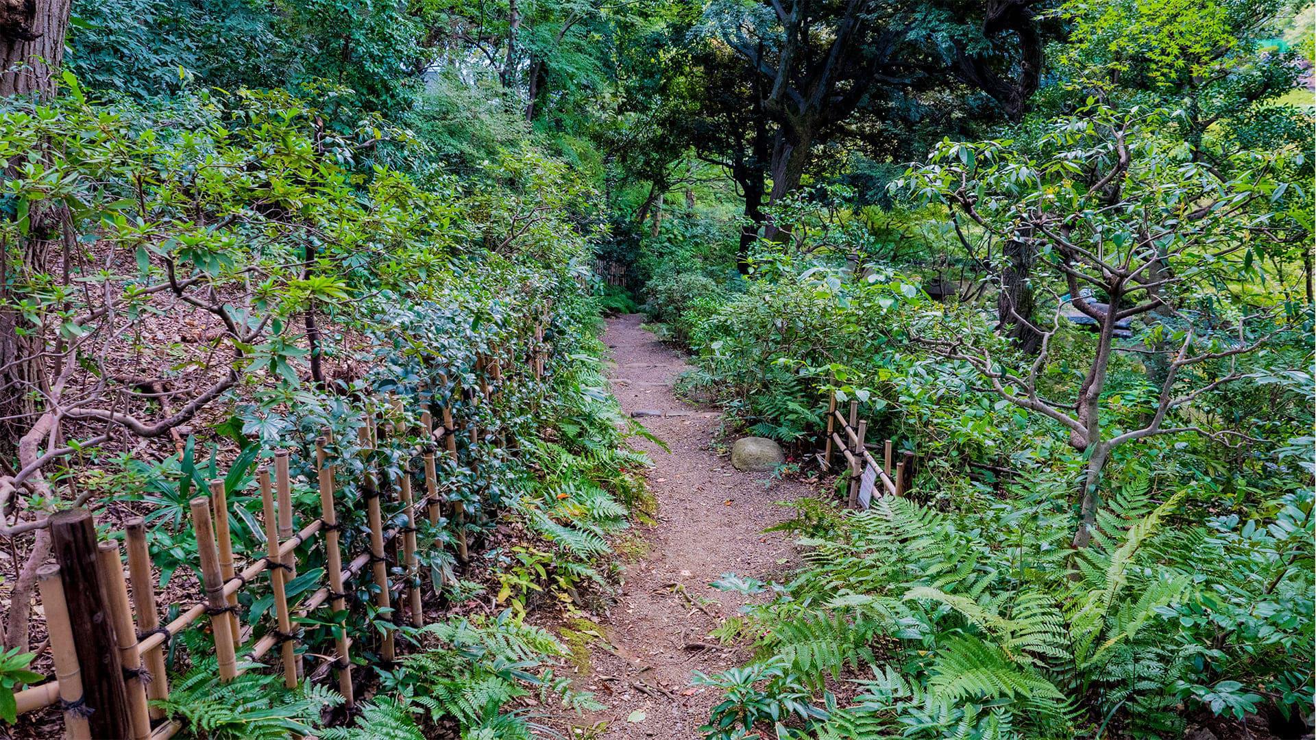 池田山公園