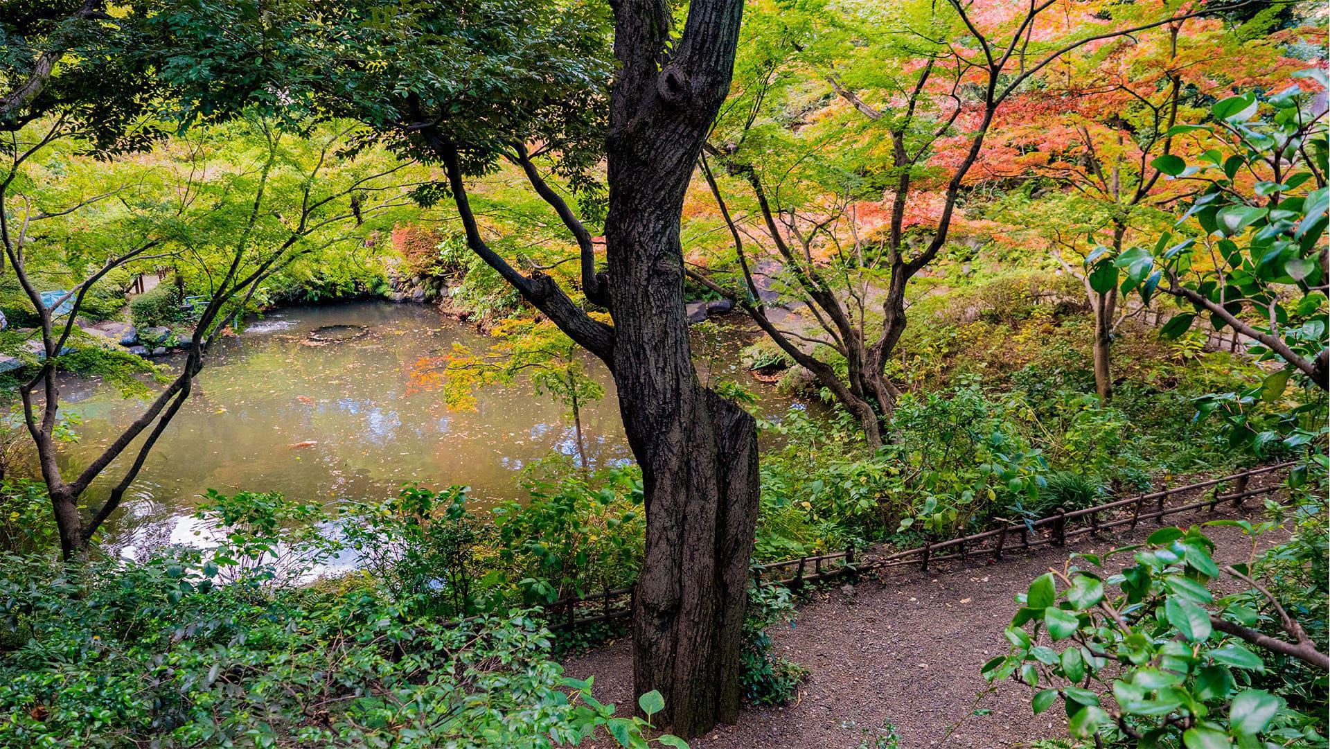 池田山公園