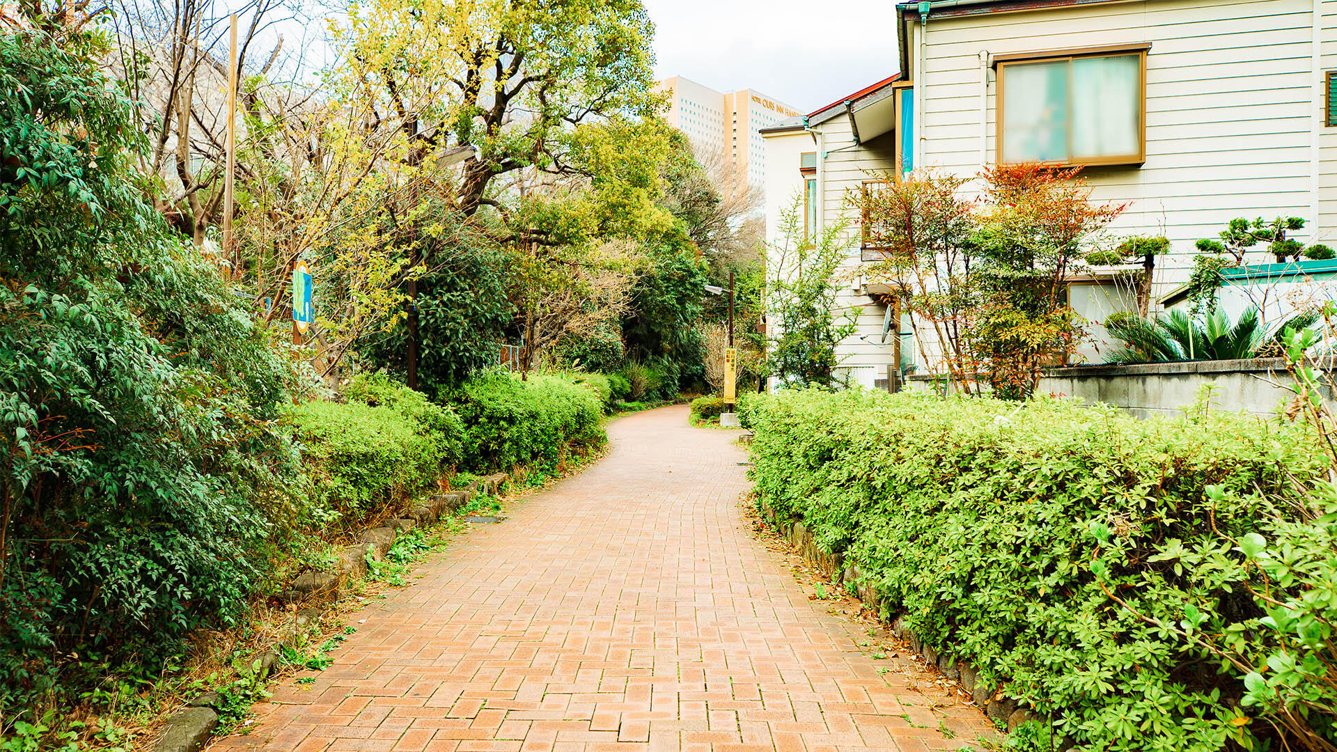 立会道路