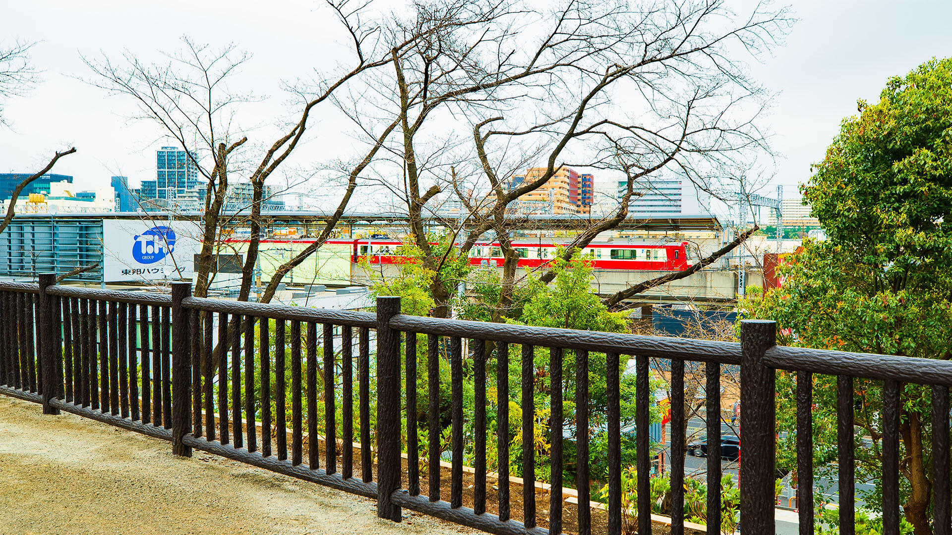 大井公園