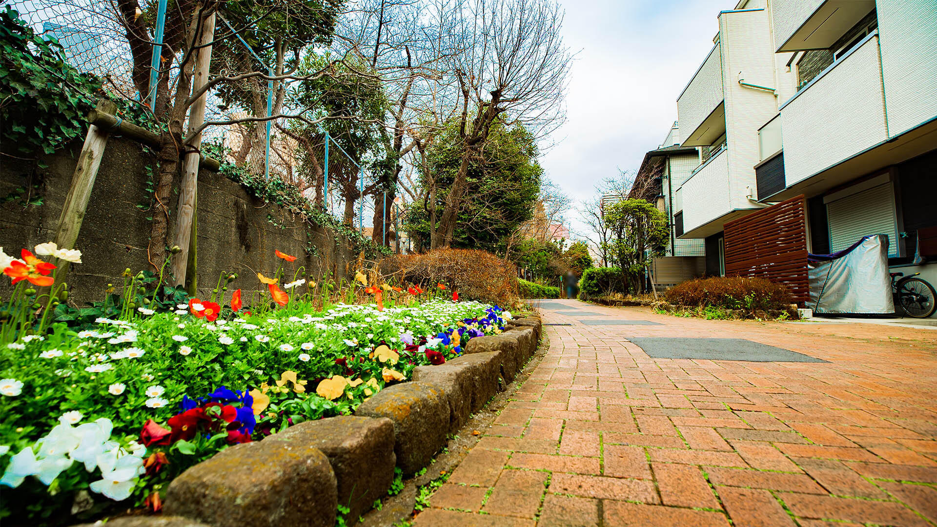 立会道路